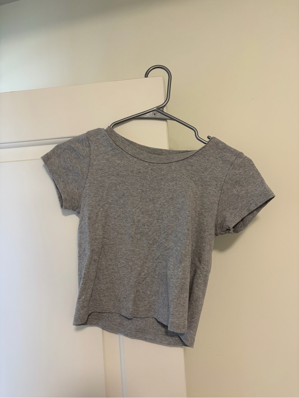 Brandy Melville Grey Short Sleeve Crop Tee
